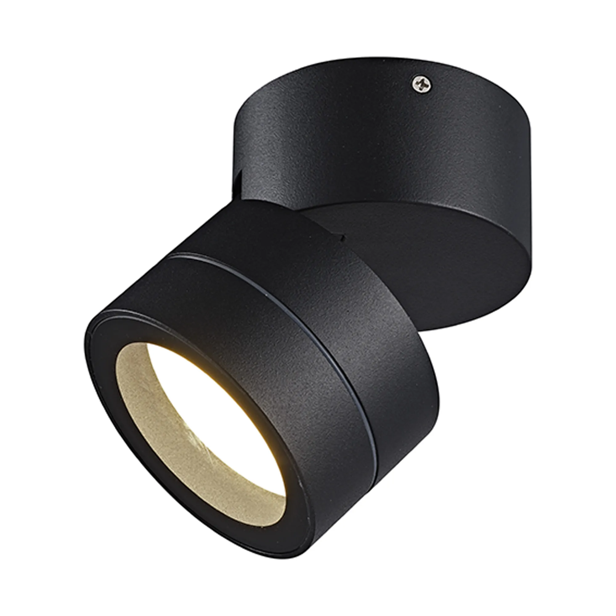 M9102/4000K  Saler Adjustable Ceiling Spotlight/Wall Light, 1 Light, With Replaceable 12W LEDs, 4000K, Dark Grey, IP65